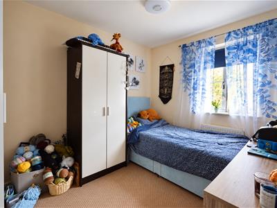 Picture 7